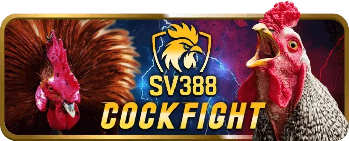 Điền thông tin cá nhân khi đăng ký 32bet win